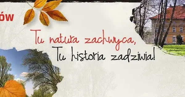 Bezpłatna mammografia w Radłowie – zapisz się na badanie