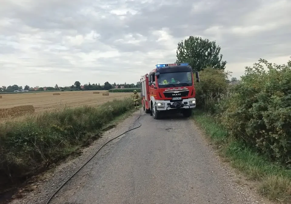Uwięziona sarna w Ząbkowicach Śląskich – interwencja strażaków i straży miejskiej