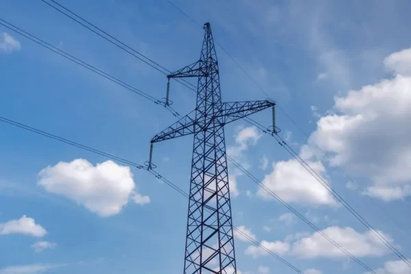 Budowa przyłącza energetycznego do domków letniskowych w Paleśnicy – postępowanie wszczęte