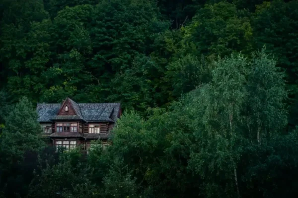 III przetarg na działkę w Ołpinach – cena wywoławcza 115 tys. zł
