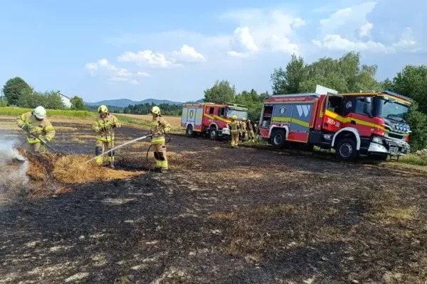 Pożar ścierniska w Dzierżaninach – strażacy w akcji