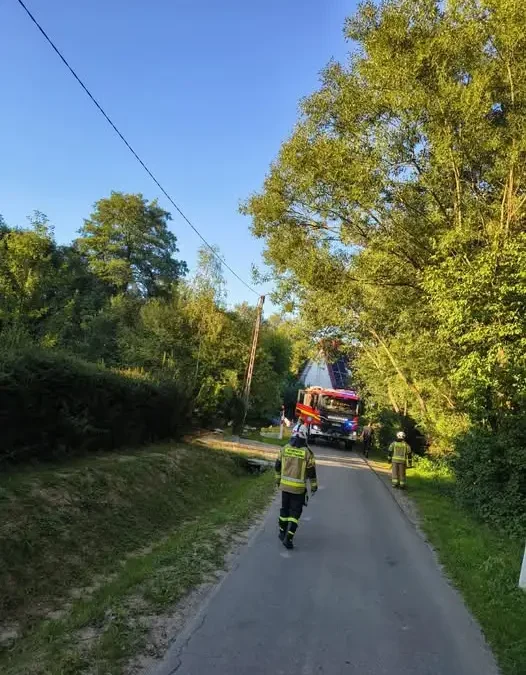 Interwencja OSP Gromnik: usunięcie nadłamanego konaru na ul. Poźnianka