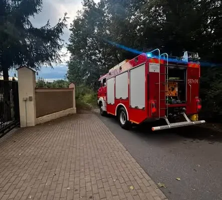 Pożar desek i dzikiej roślinności przy ul. Kłodzkiej w Ząbkowicach Śląskich