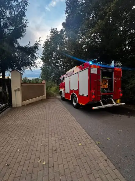 Pożar desek i dzikiej roślinności przy ul. Kłodzkiej w Ząbkowicach Śląskich