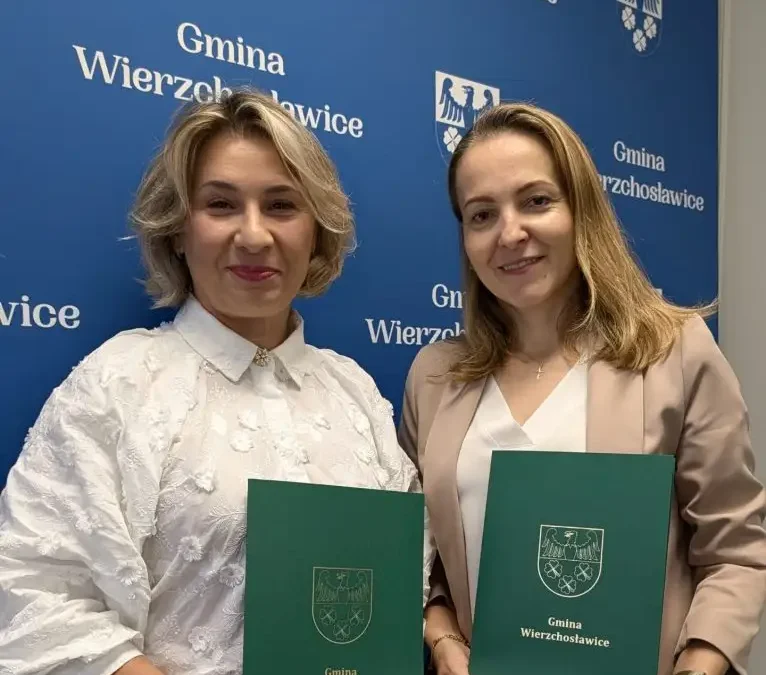 Wierzchosławice: rusza remont placu zabaw na Dwudniakach