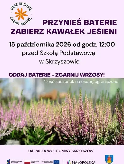 Skrzyszów: wymień zużyte baterie na jesienne wrzosy – akcja ekologiczna już 15 października